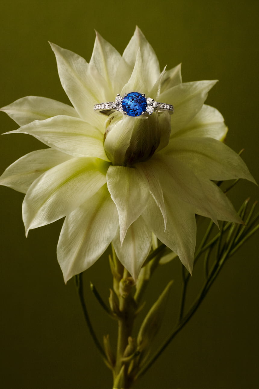 リング 18金ホワイトゴールド サファイア Baby EverBloom 6 mm Pavée