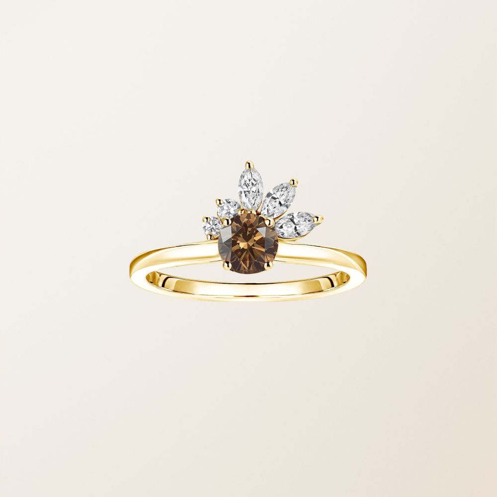 Ring Yellow gold Chocolate Diamond and diamonds Little EverBloom 2