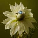 Vignette : Bague Baby EverBloom 6 mm 2