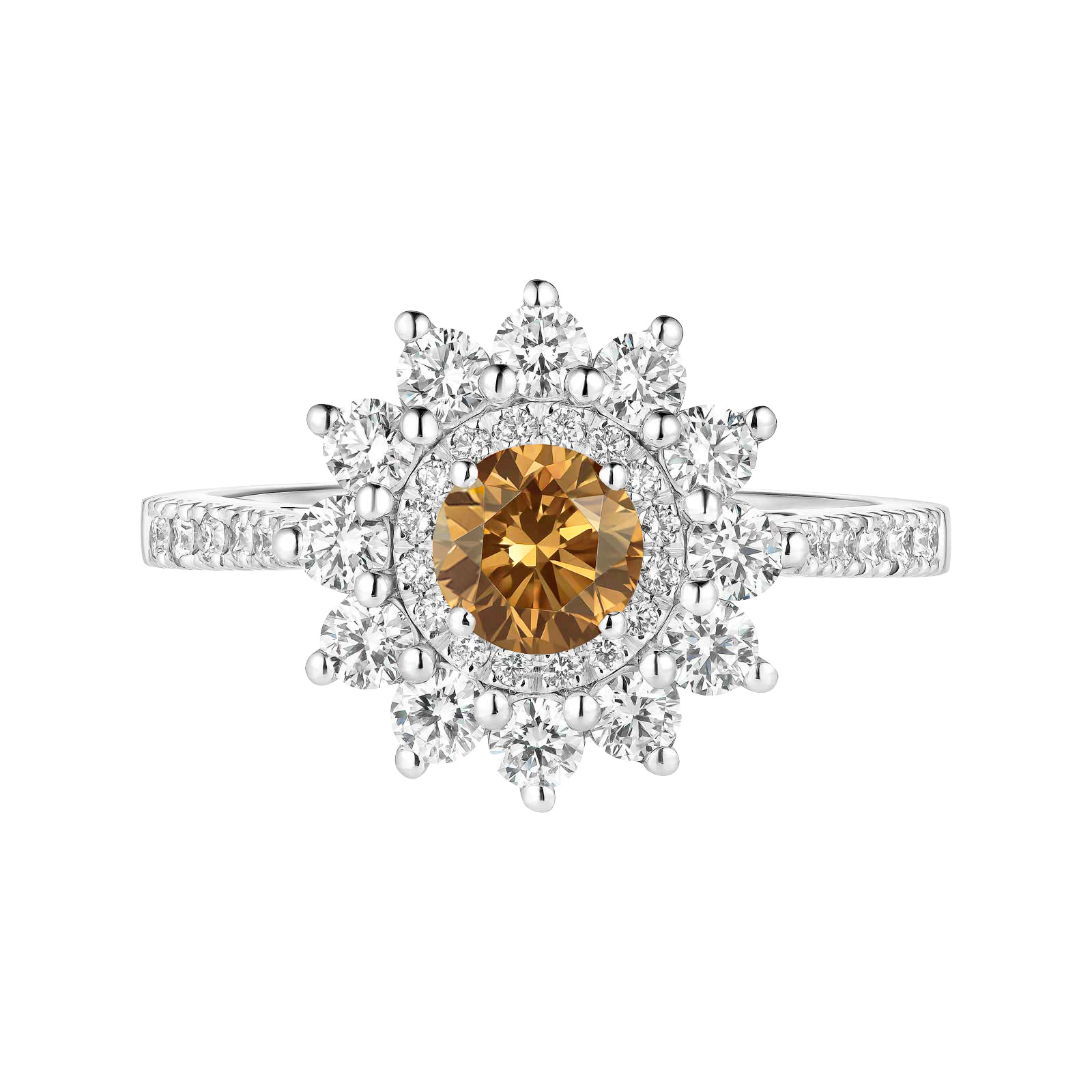 Ring White gold Cognac Diamond and diamonds Lefkos 4 mm Pavée 1