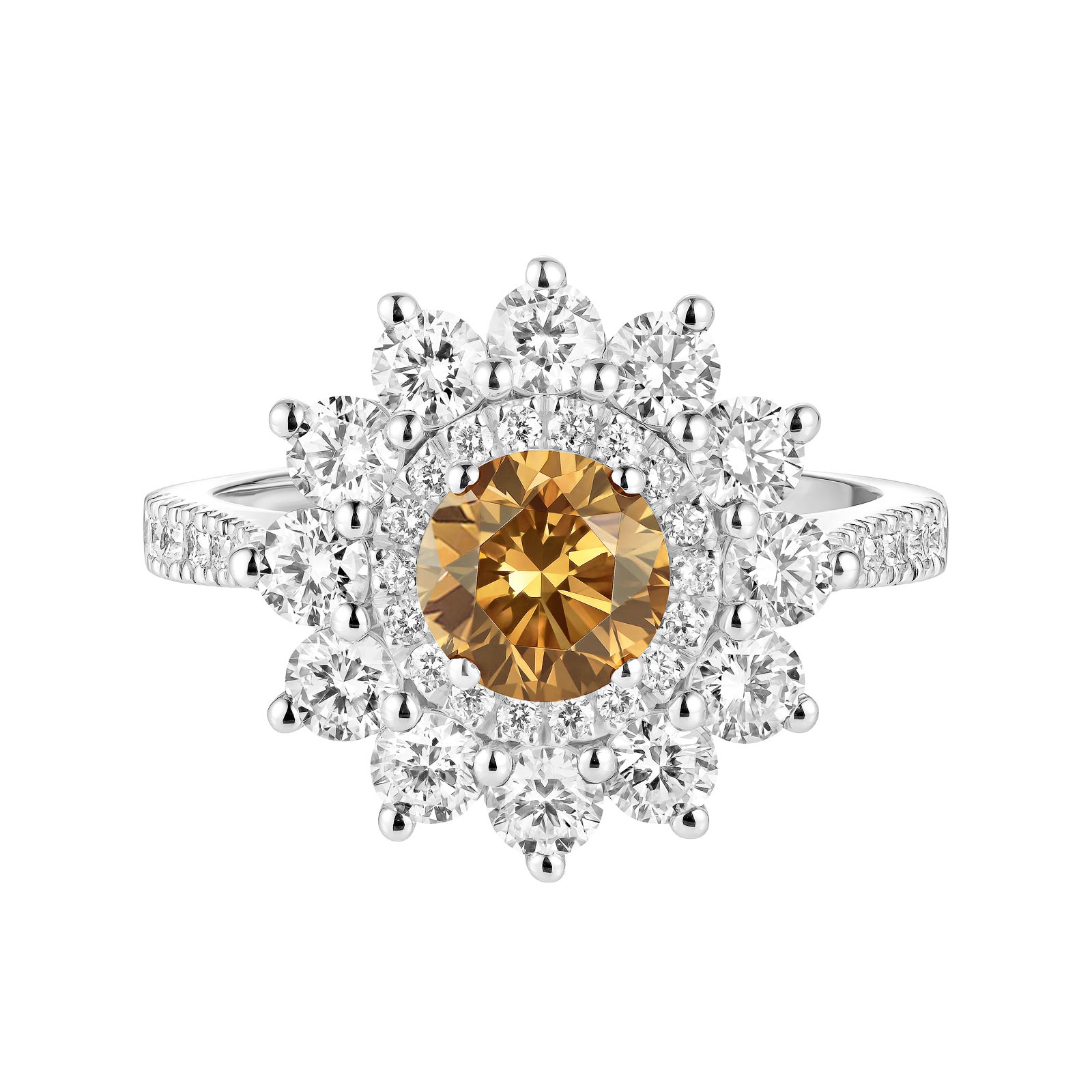 Ring White gold Cognac Diamond and diamonds Lefkos 6 mm Pavée 1