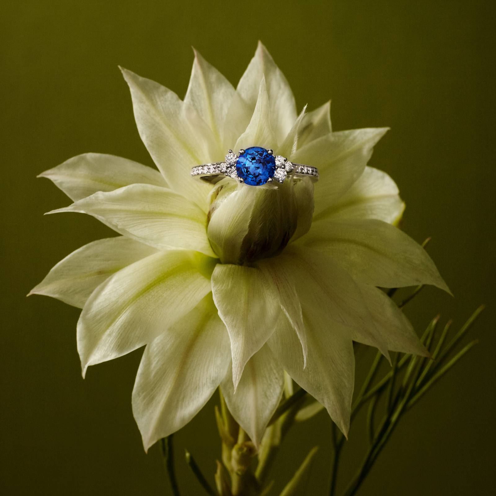 Bague Or blanc Aigue-marine et diamants Baby EverBloom 6 mm Pavée 3